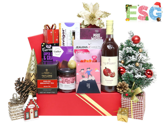 Christmas Gift Hamper - Xmas ESG Hamper E02 - EX1020A3 Photo